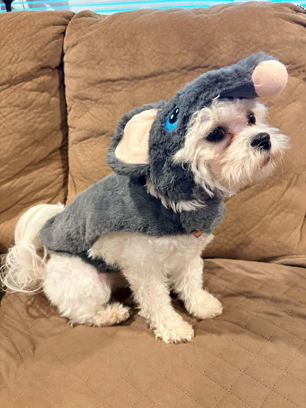 Bootique Mouse Dog Costume One Size Gray Plush Animal Pet Apparel